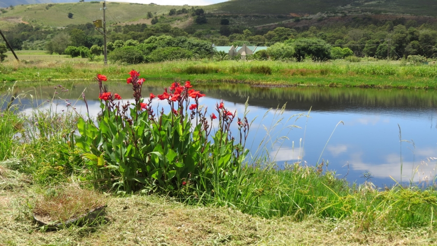 2 Bedroom Property for Sale in Swellendam Rural Western Cape